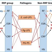 Different Bacterial Pathogens May Affect Serological Disease Markers in RRP and non-RRP Rheumatoid Arthritis
