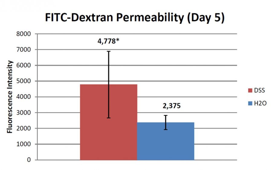 Fluorescent intentsity of FITC dextran fed to DSS-induced colitis mice, as a measure of intestinal permeability induced by DSS feeding.