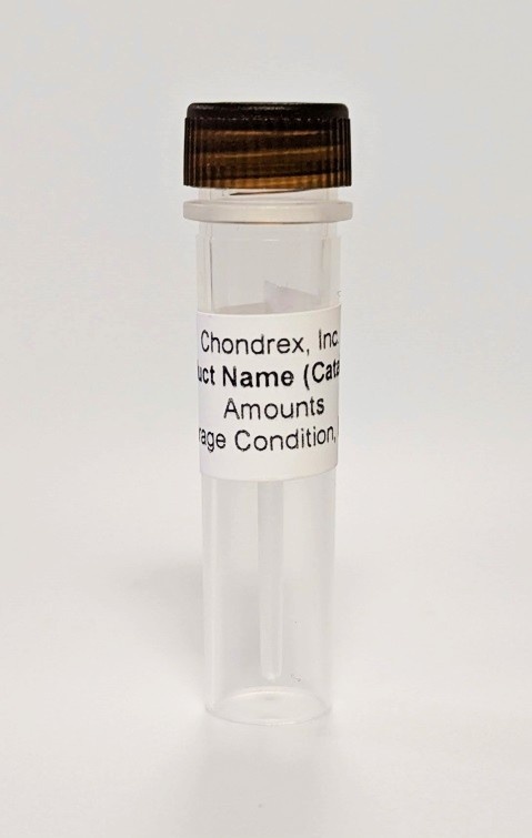 Taq DNA Polymerase